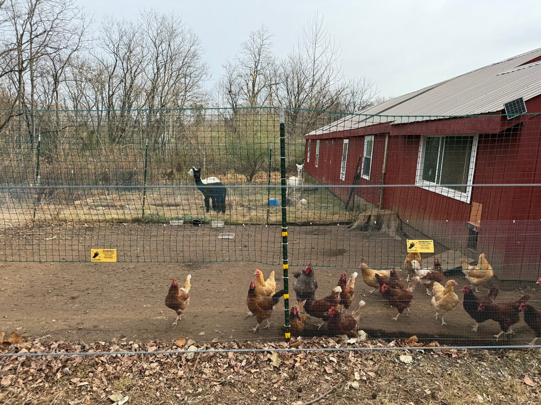 Chimney Hill Estate Inn主图