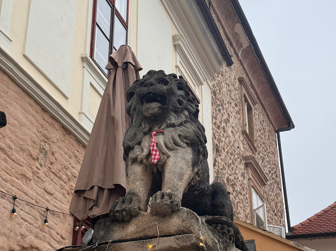 Cravaticum - Cravat Musem & Café-萨格勒布必去景点