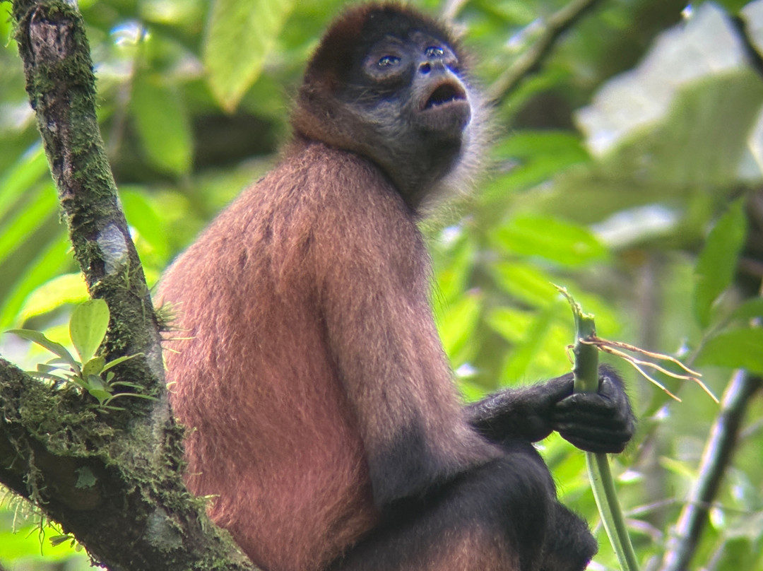 Fayla Tours Costa Rica-萨迪纳尔必去景点