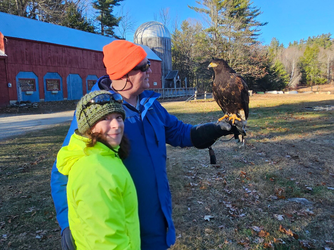 Monadnock Falconry-Temple必去景点