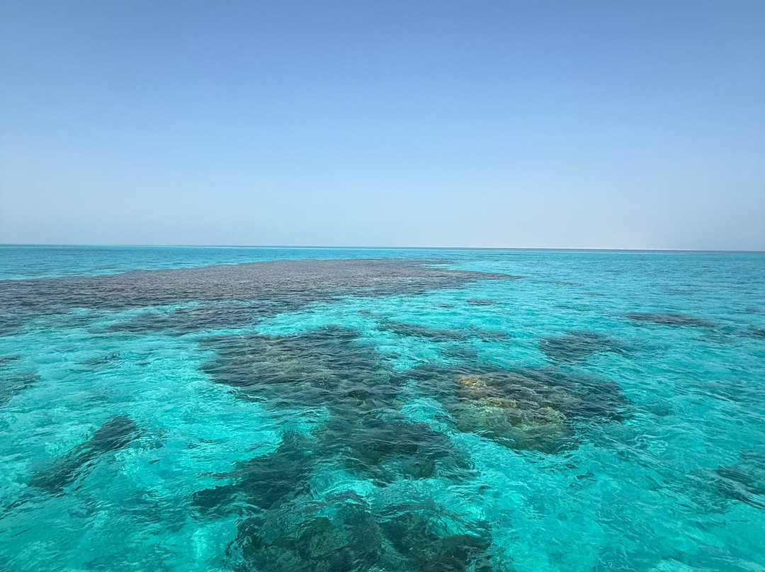 Ausflug Mit Mohamed-赫尔格达必去景点