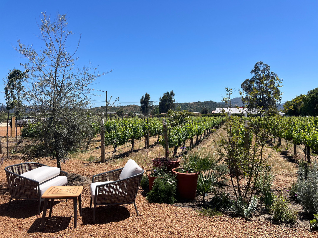 Bosco de Medici Winery-庞贝必去景点