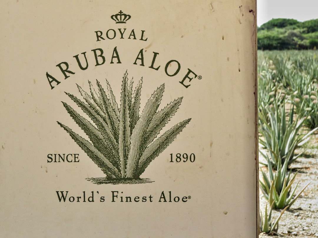 Aruba Aloe Factory, Museum and Store-阿鲁巴岛必去景点