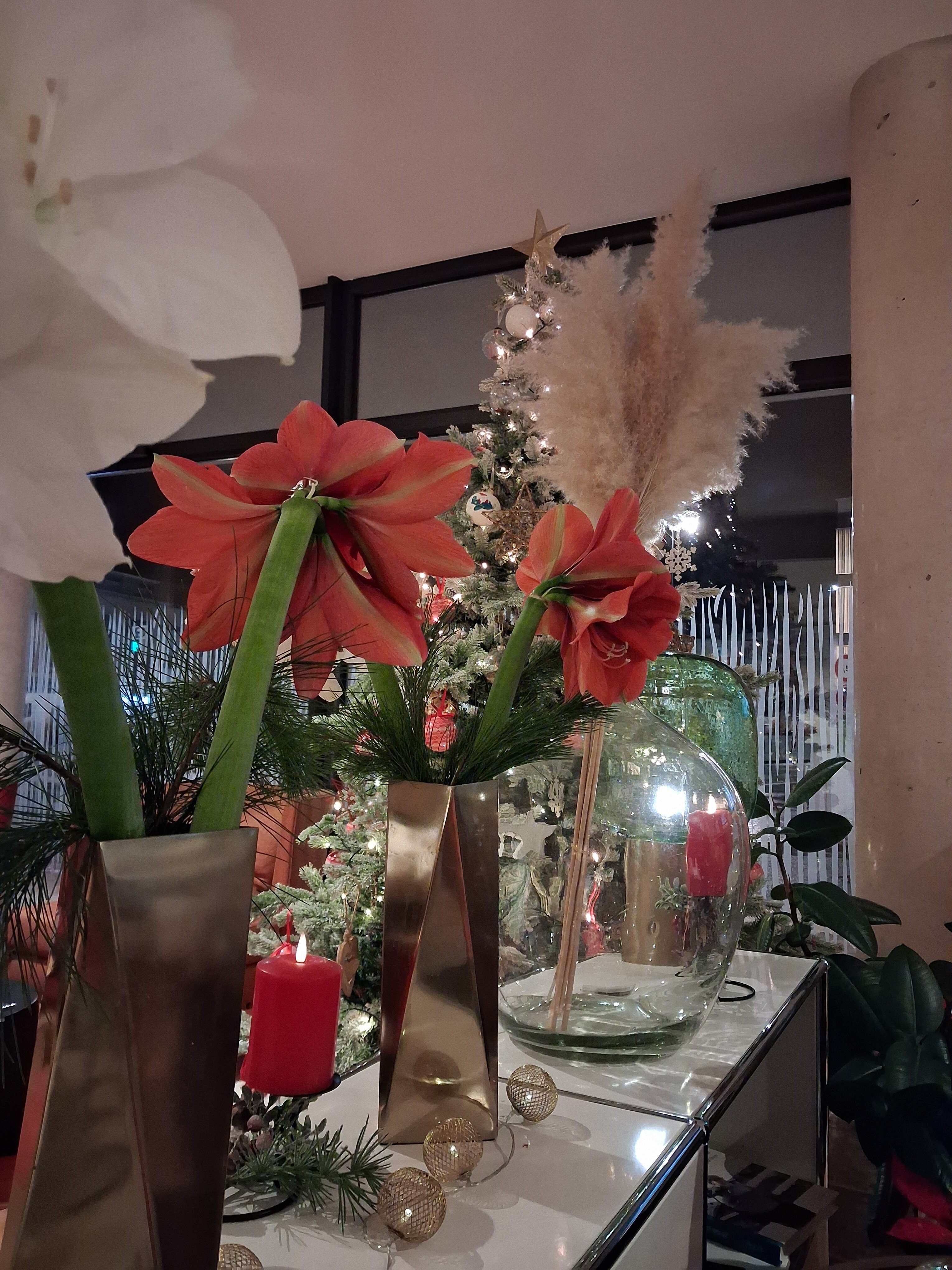 James Boutique Hotel-官方