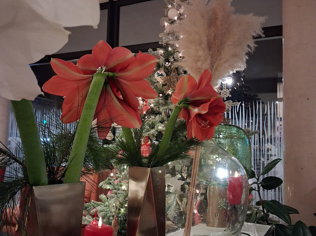 James Boutique Hotel主图