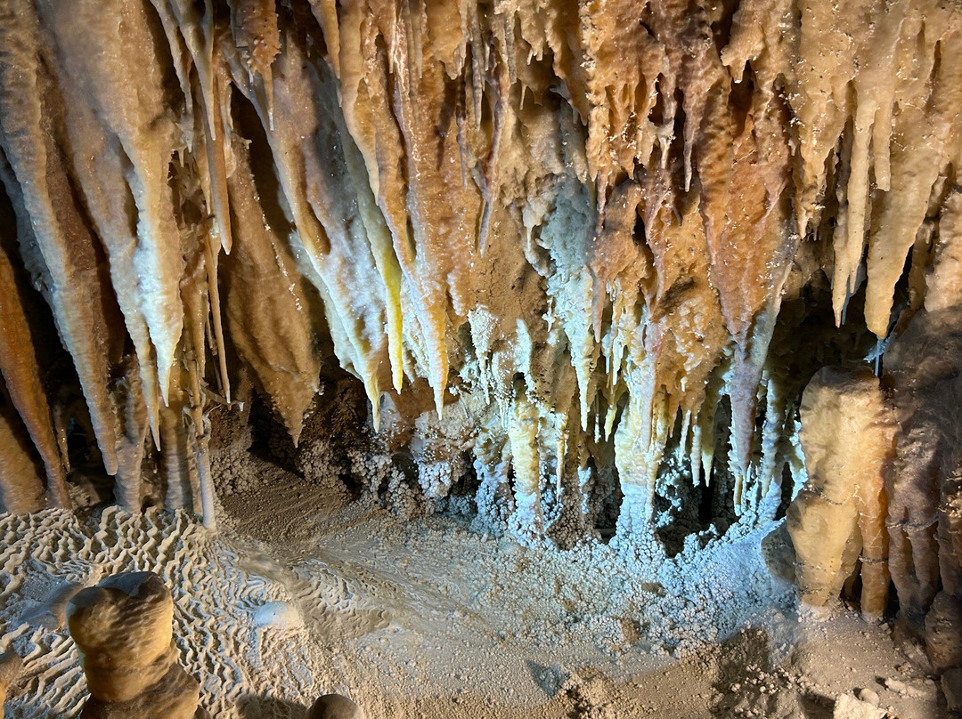 Fun Over Fifty-布里斯班必去景点