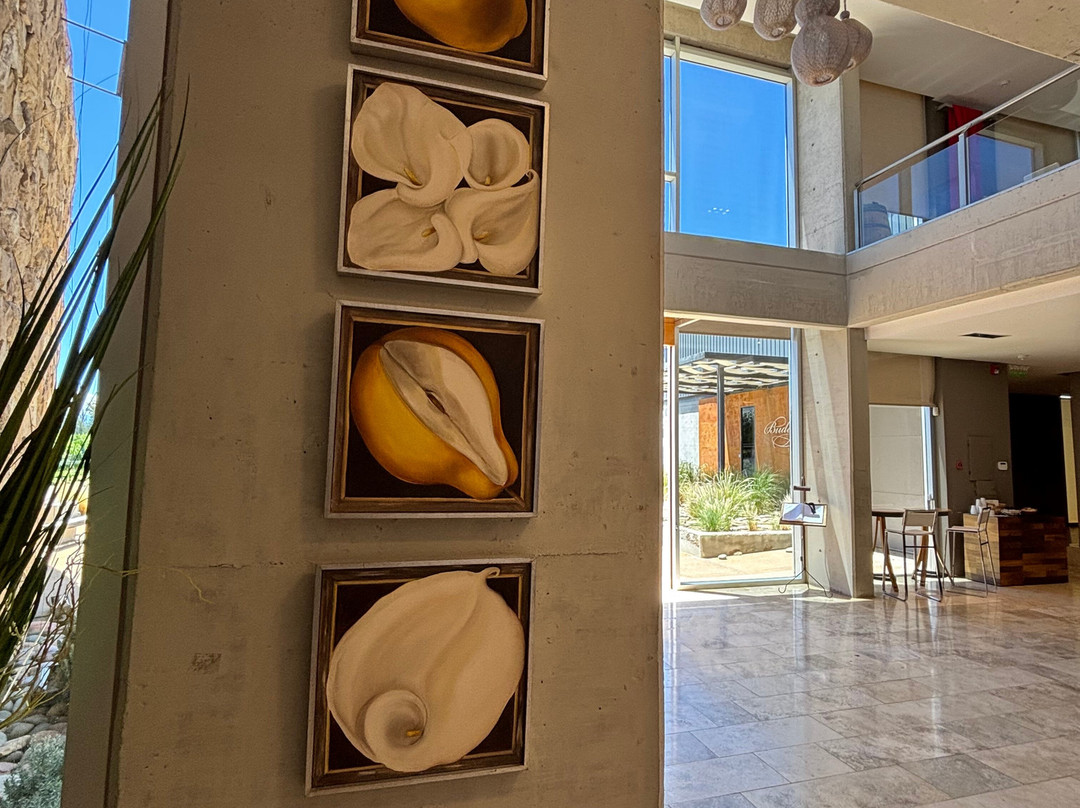 Bodega Budeguer-阿格雷洛必去景点