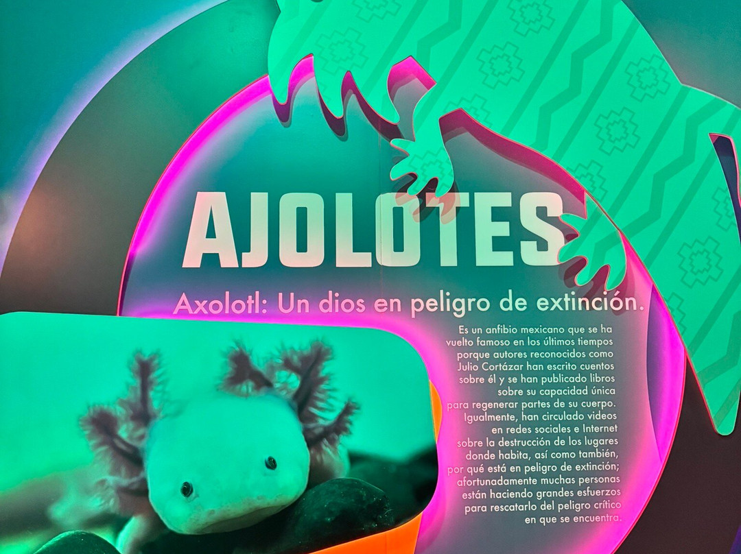 Acuario Michin Guadalajara-瓜达拉哈拉必去景点