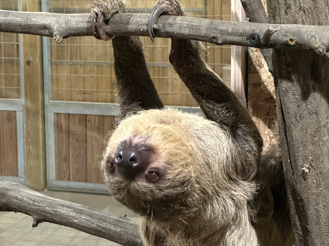 Keystone Safari-格罗夫城必去景点