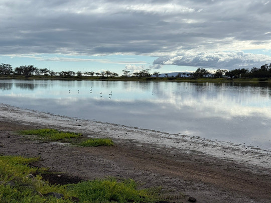 Unique Maui Tours-毛伊岛必去景点