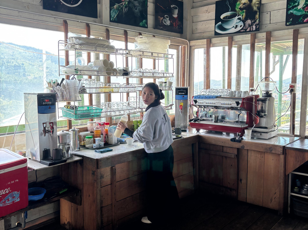 Mr. Peace's Tour Dalat-大勒必去景点