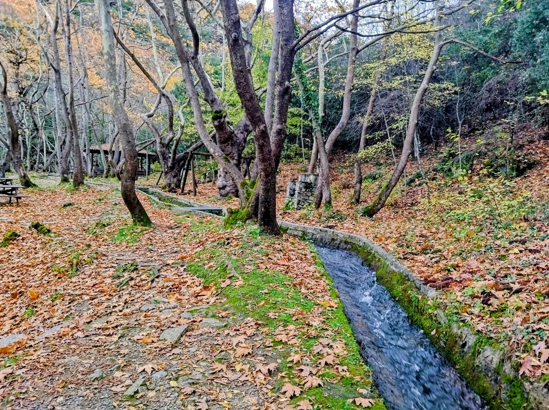 Faraggi Skepasmenoy-Velventos必去景点