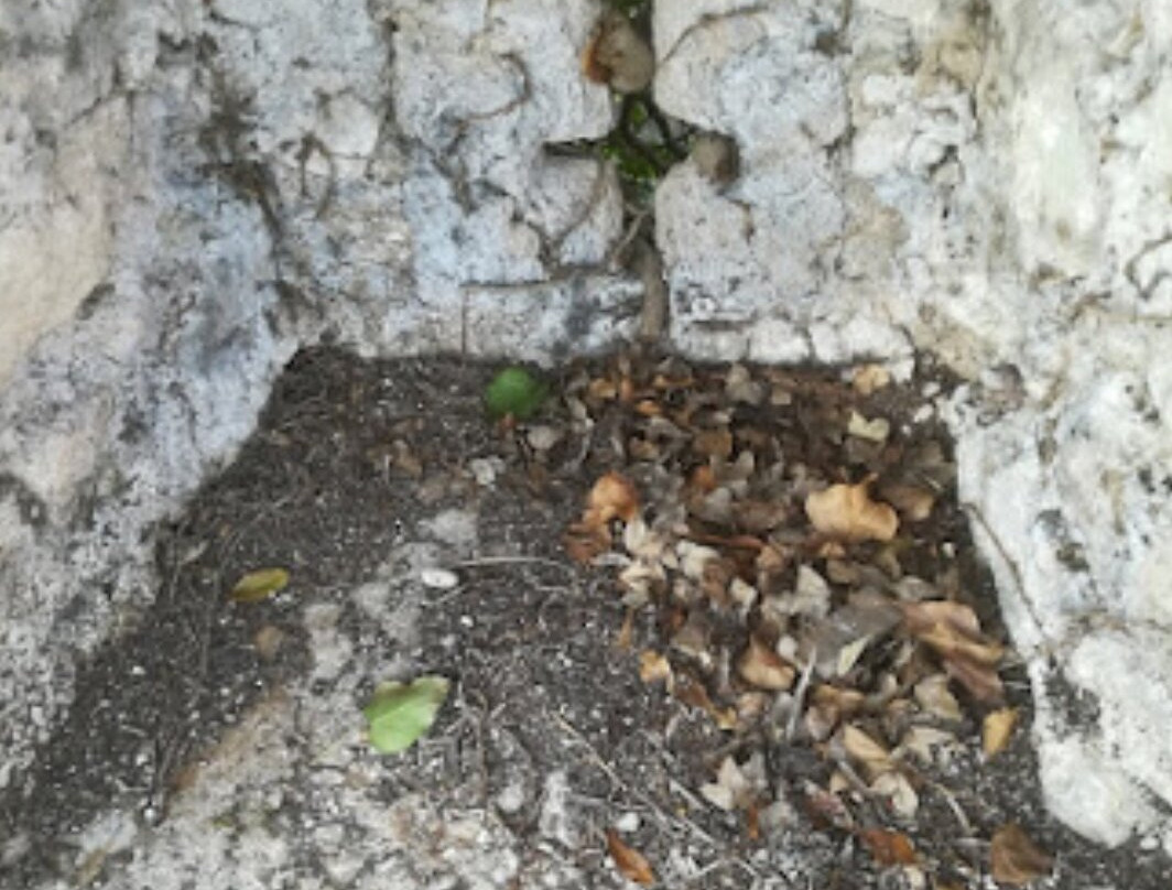 Borgo Santa Maria Oliveto-Pozzilli必去景点