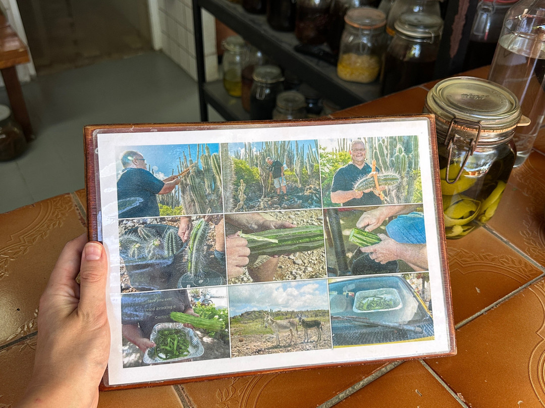 The Cadushy Distillery-Rincon必去景点