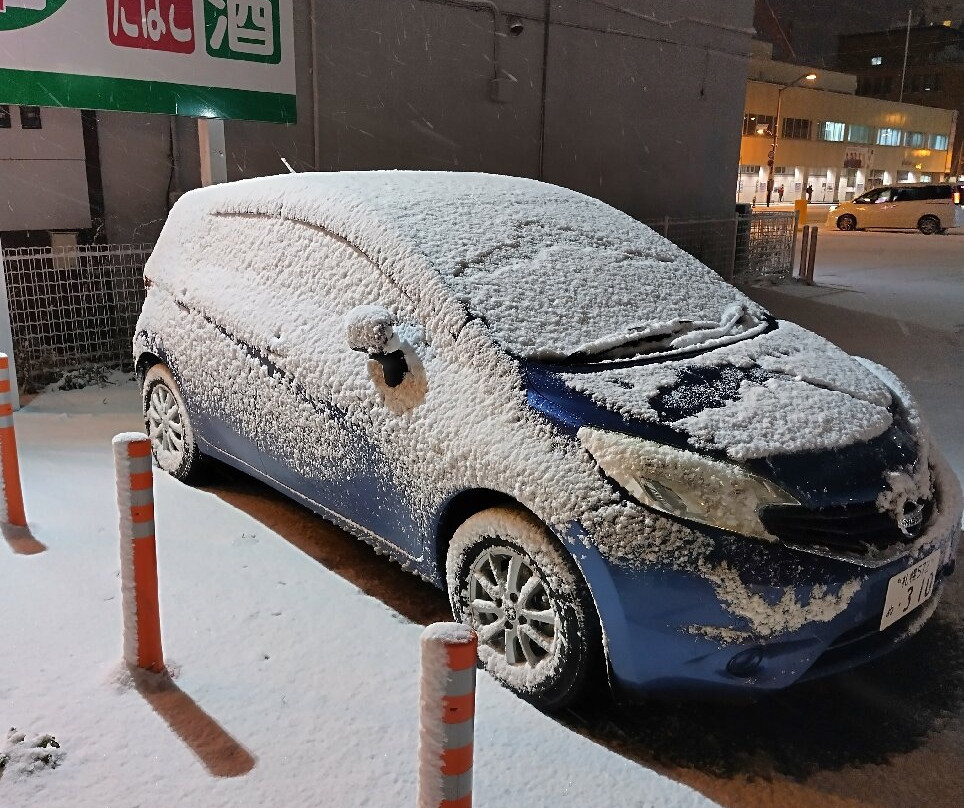 旭川多米酒店主图