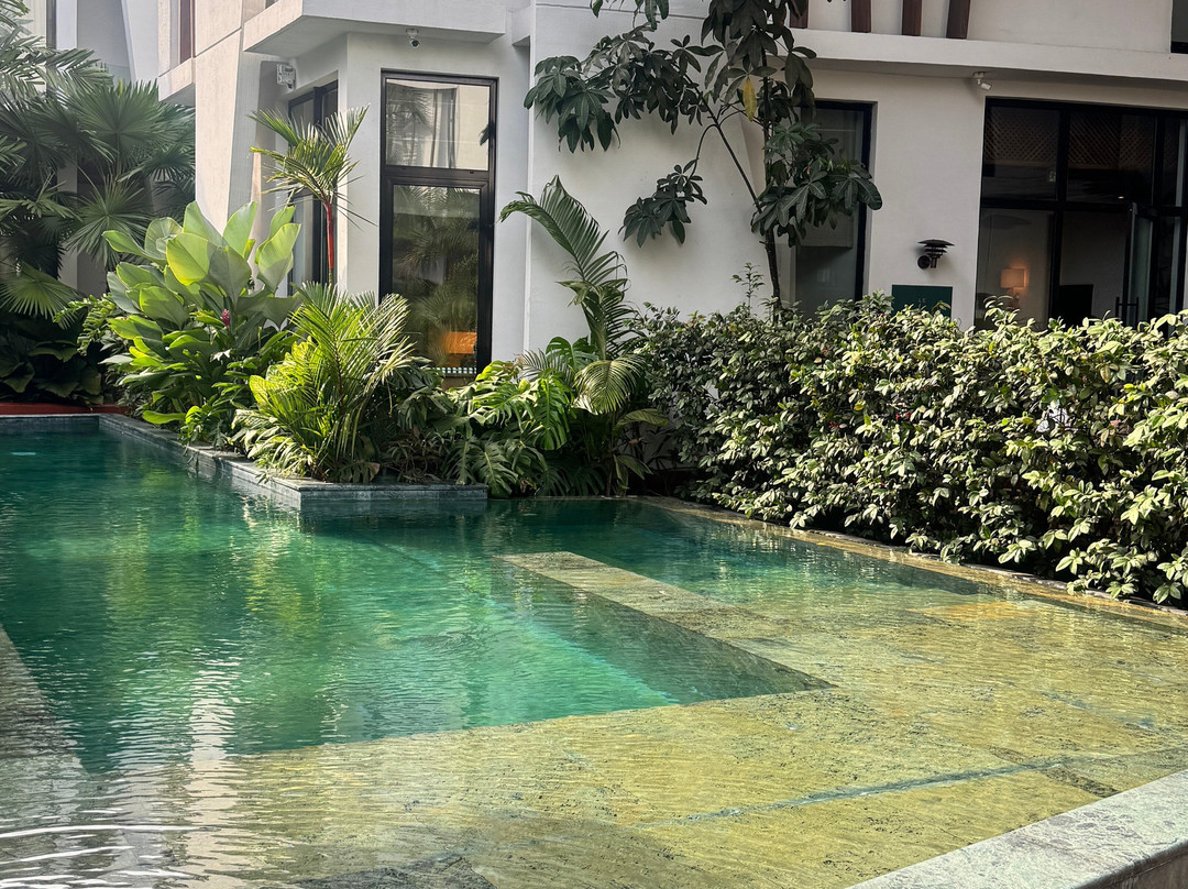 La Maison Palmier主图