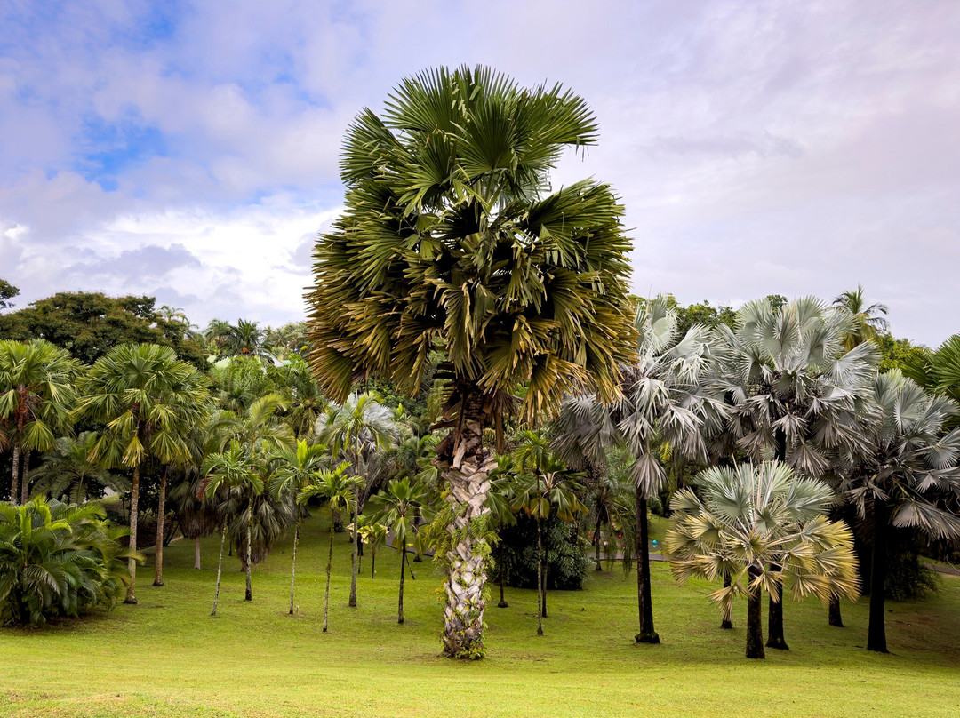 Habitation Clement-Le Francois必去景点