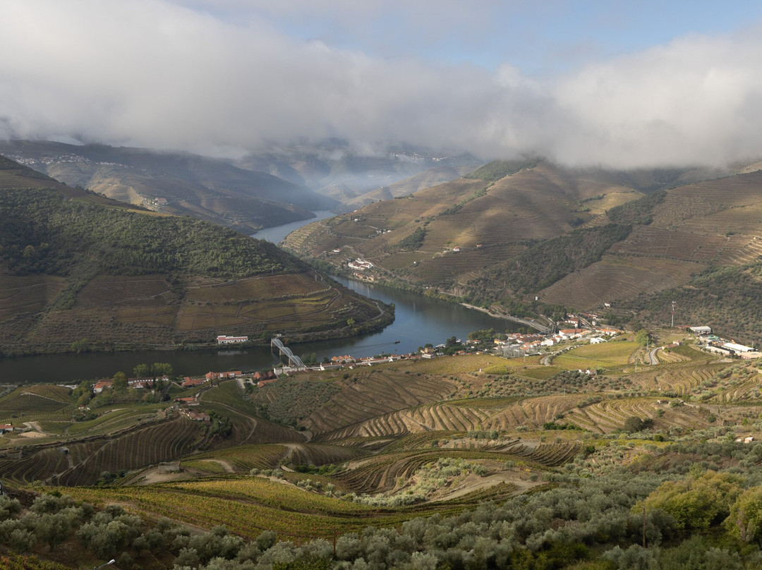 Douro Walks-Ervedosa do Douro必去景点