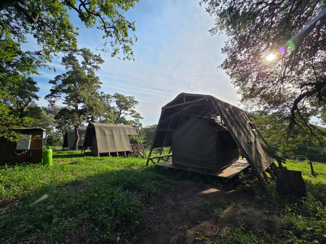 Mathikithi Wilderness Trail-克鲁格国家公园必去景点