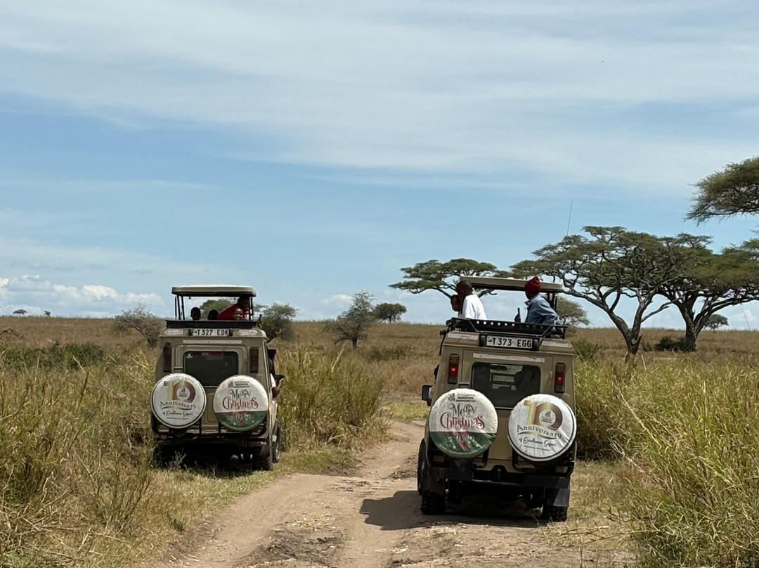 Tanzania Roadside Expeditions-阿鲁沙必去景点