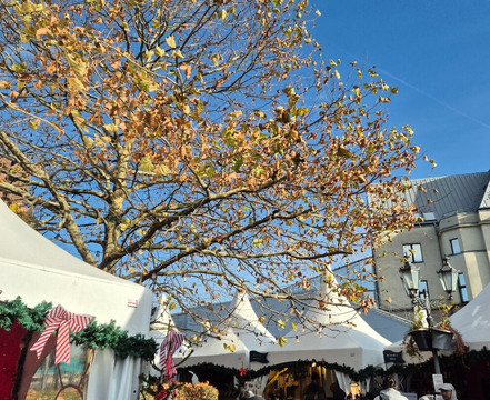 Rheinauhafen-科隆必去景点