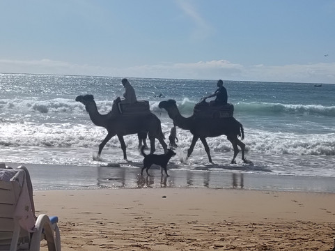 Silence of Morocco-马拉喀什必去景点