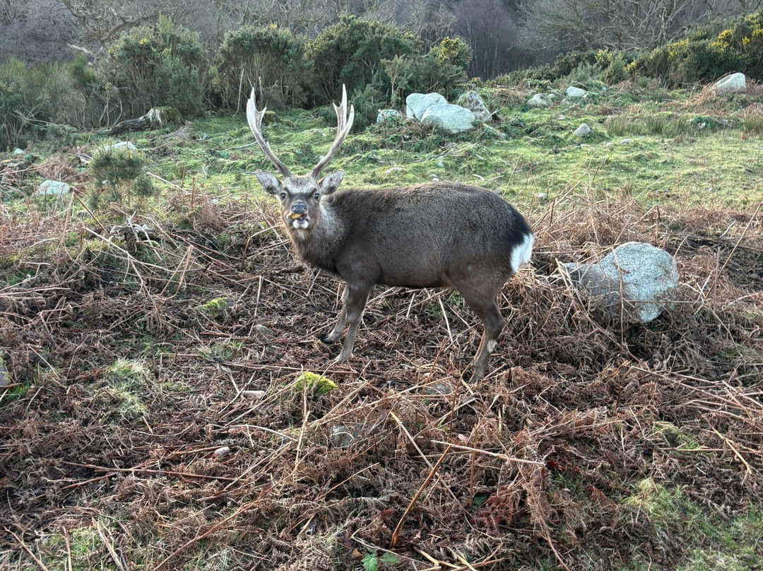 Bainloch Deer Park-Dalbeattie必去景点