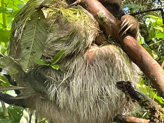 Costa Rica Unique Transfers and Tours-利比里亚必去景点