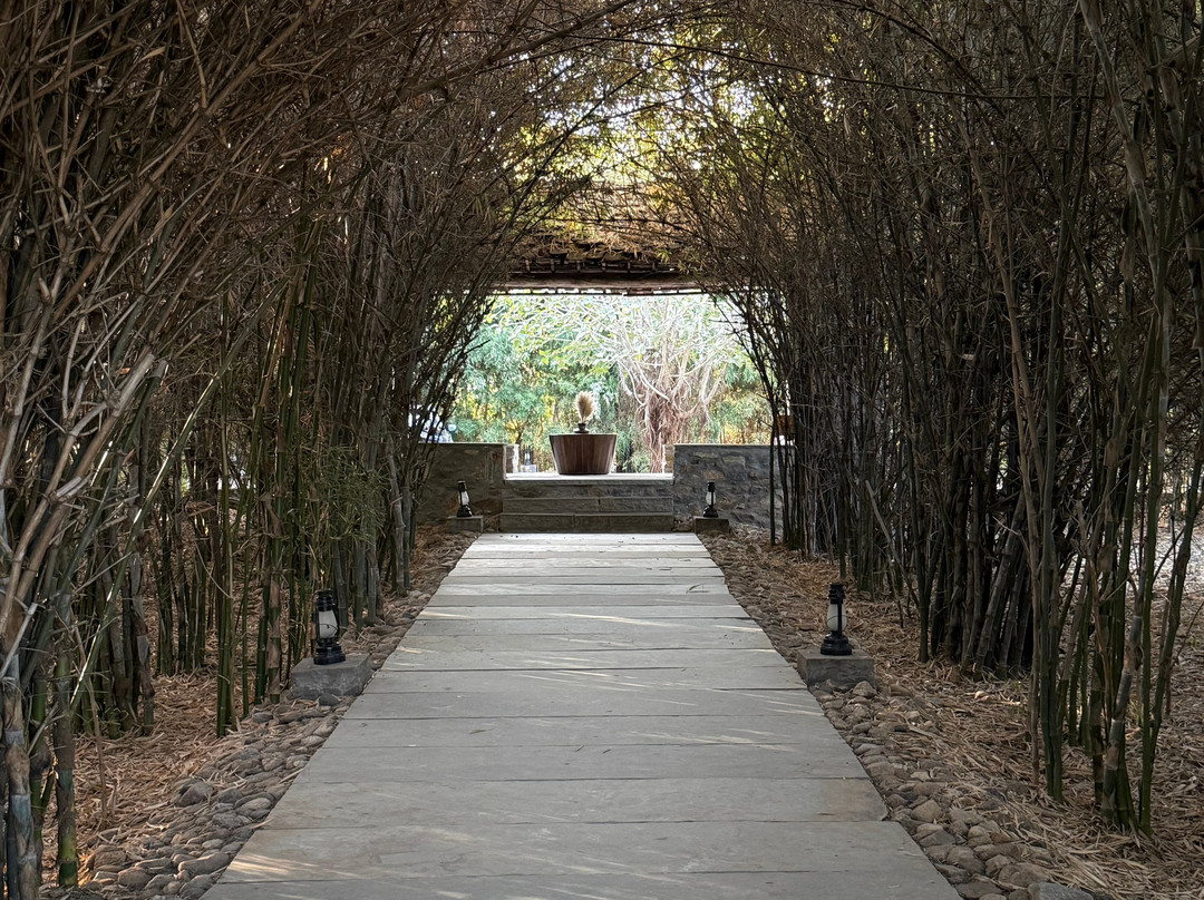 Bijapur Lodge Jawai主图