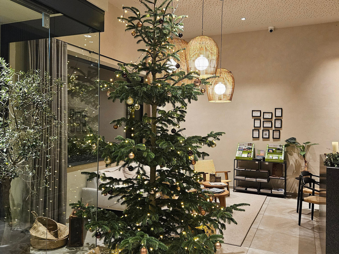 Boutiquehotel DAS ZEITWERT主图