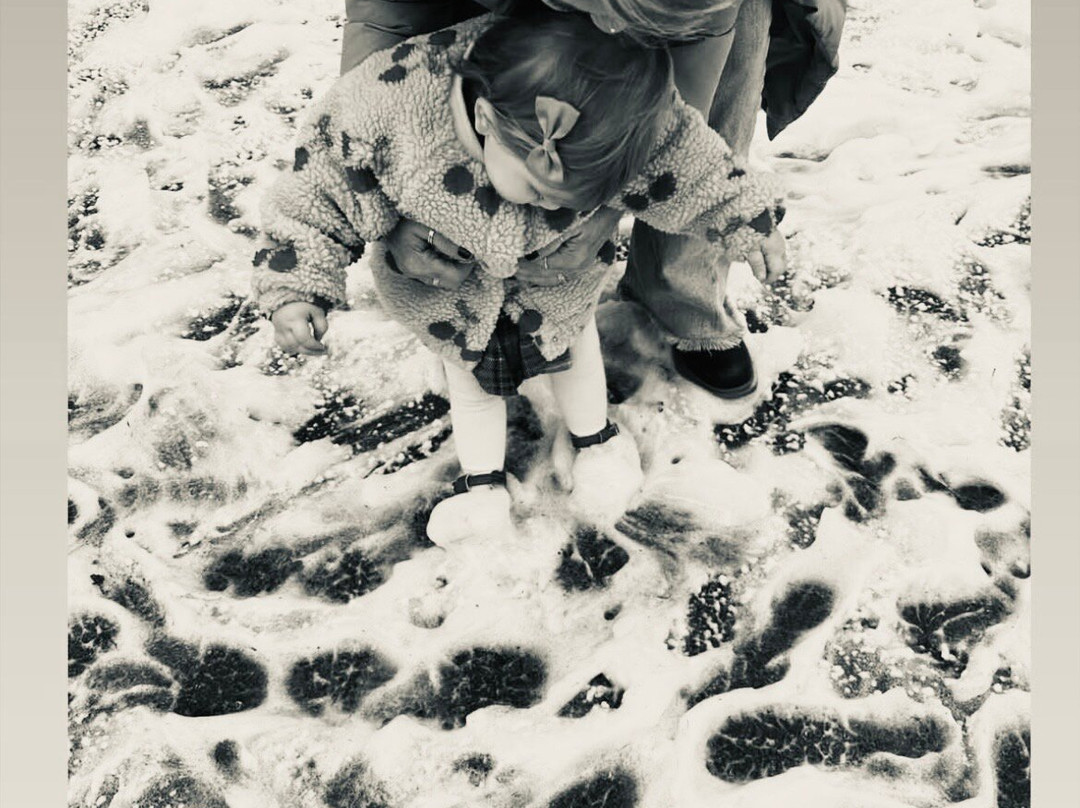 怀特岛蒸汽火车-Wootton必去景点