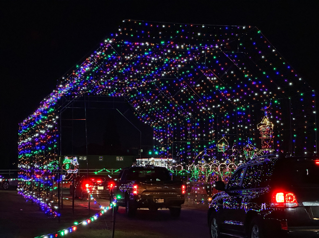 Shipshewana's Lights Of Joy-Shipshewana必去景点