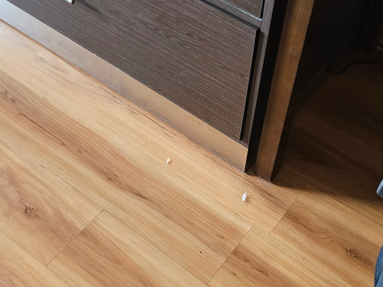 Best Western Duchesne Inn主图