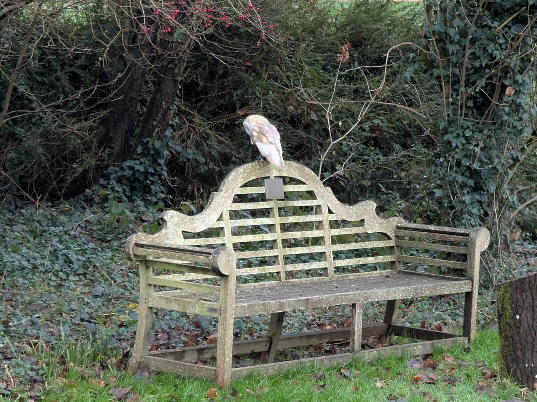 Hampshire Hawk Walks-Alton必去景点