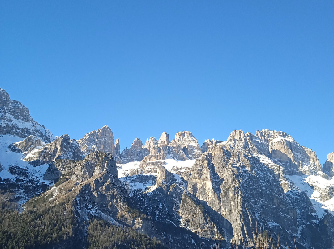 Ristorante dell'Agriturismo Malga Tovre