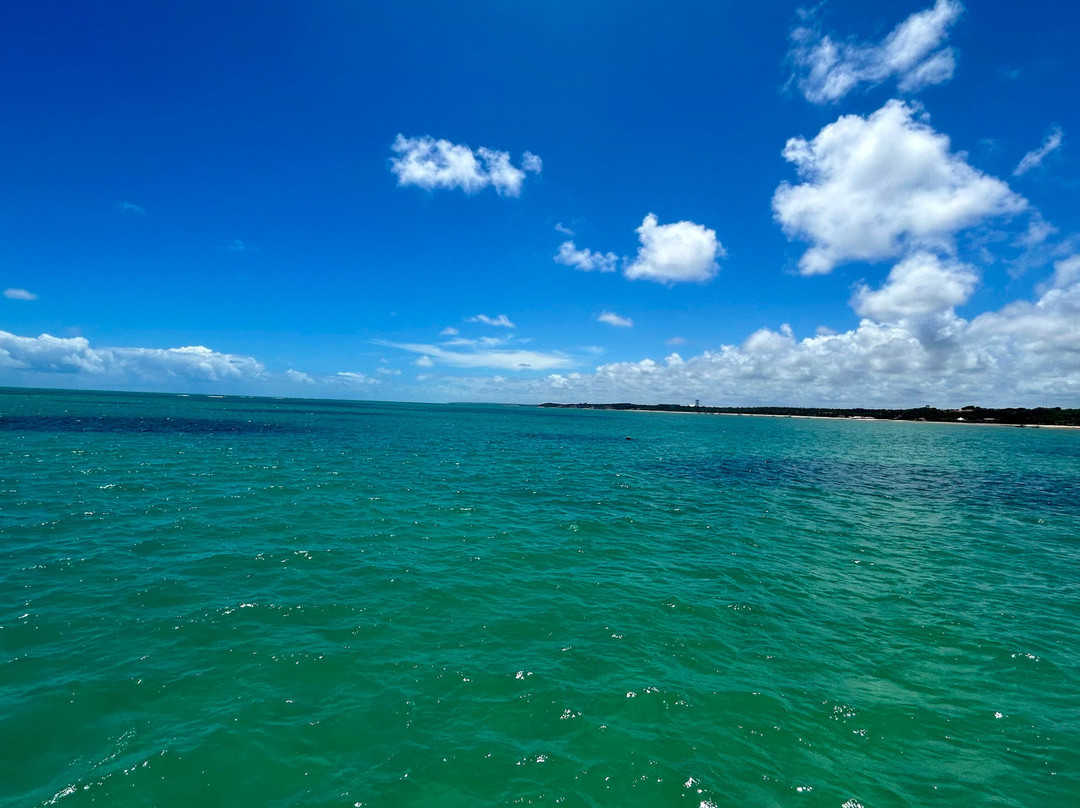 Piscinas Naturais do Seixas-Joao Pessoa必去景点