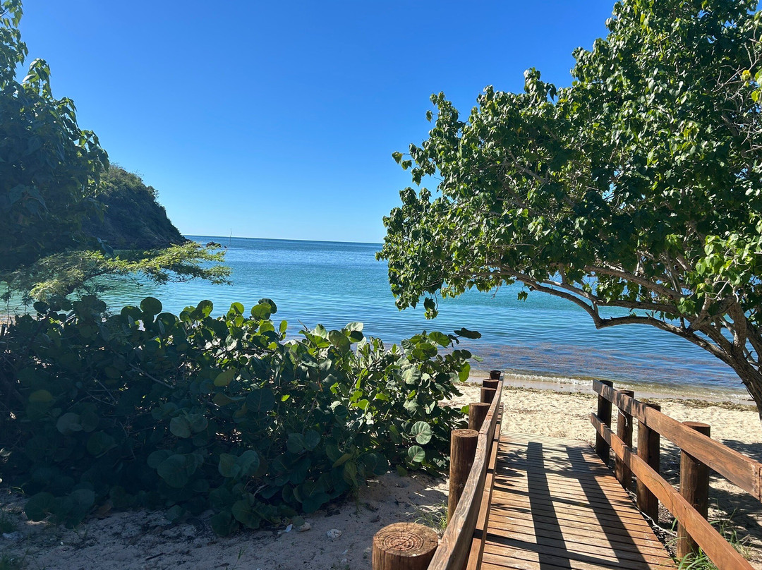 Bosque Estatal de Guánica-Guanica必去景点