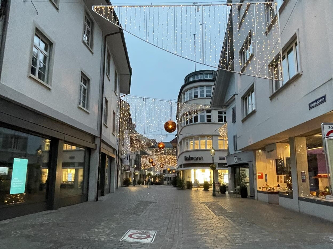 Region Olten Tourismus-奥尔滕必去景点