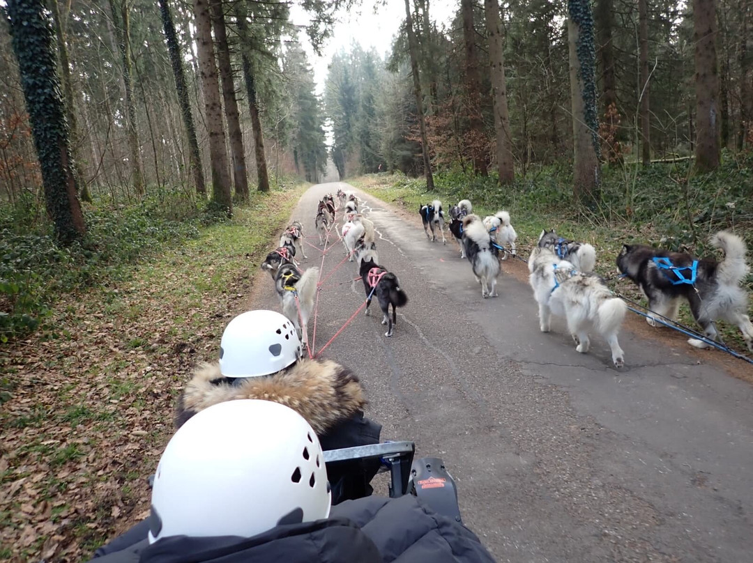 Fischer Adventures Day Tours-圣加仑必去景点
