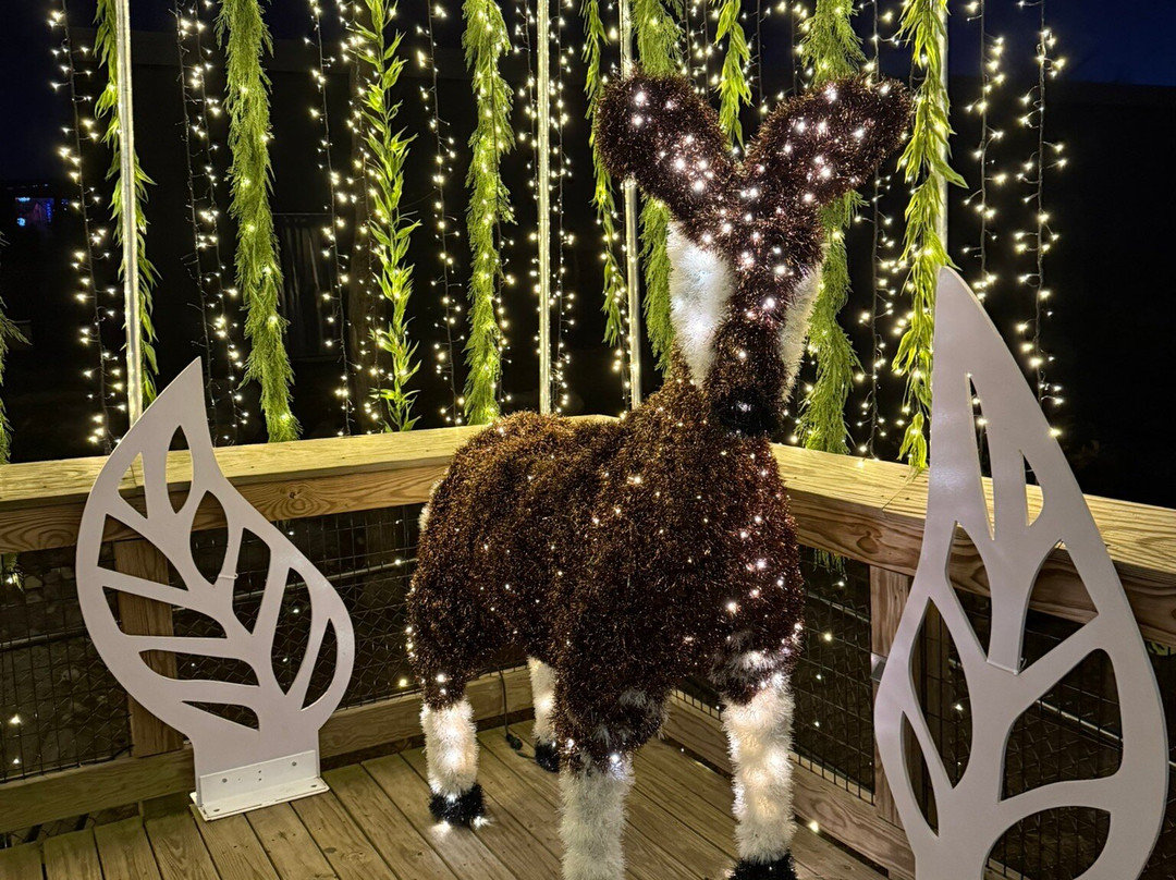 Greensboro Science Center-戈尔兹伯勒必去景点