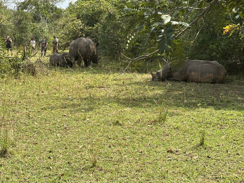 Bigodi Africa Expeditions Ltd-恩德培必去景点