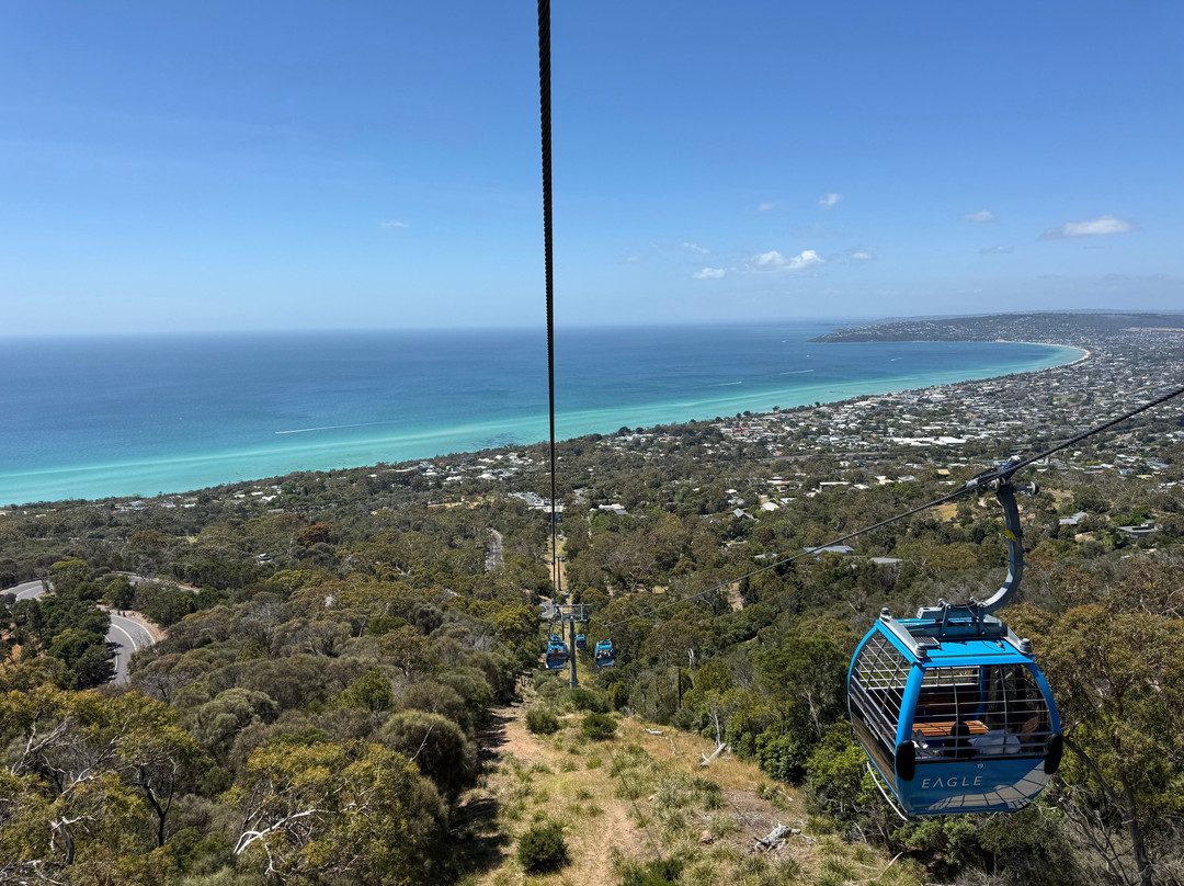 Arthurs Seat Eagle-Arthurs Seat必去景点