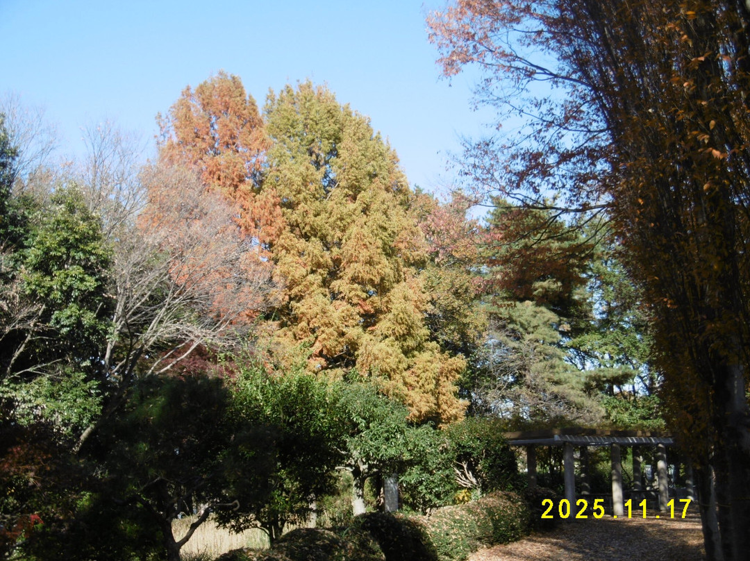 Norin Park-深谷市必去景点