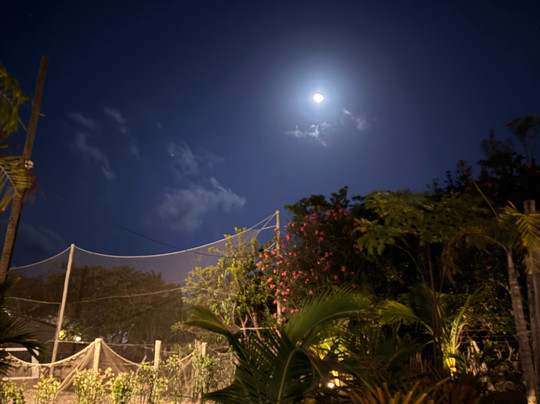 Pousada Vila Camurim主图