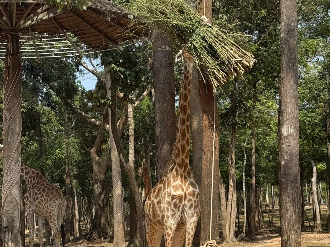 珍珠王国野生动物园-富国岛必去景点