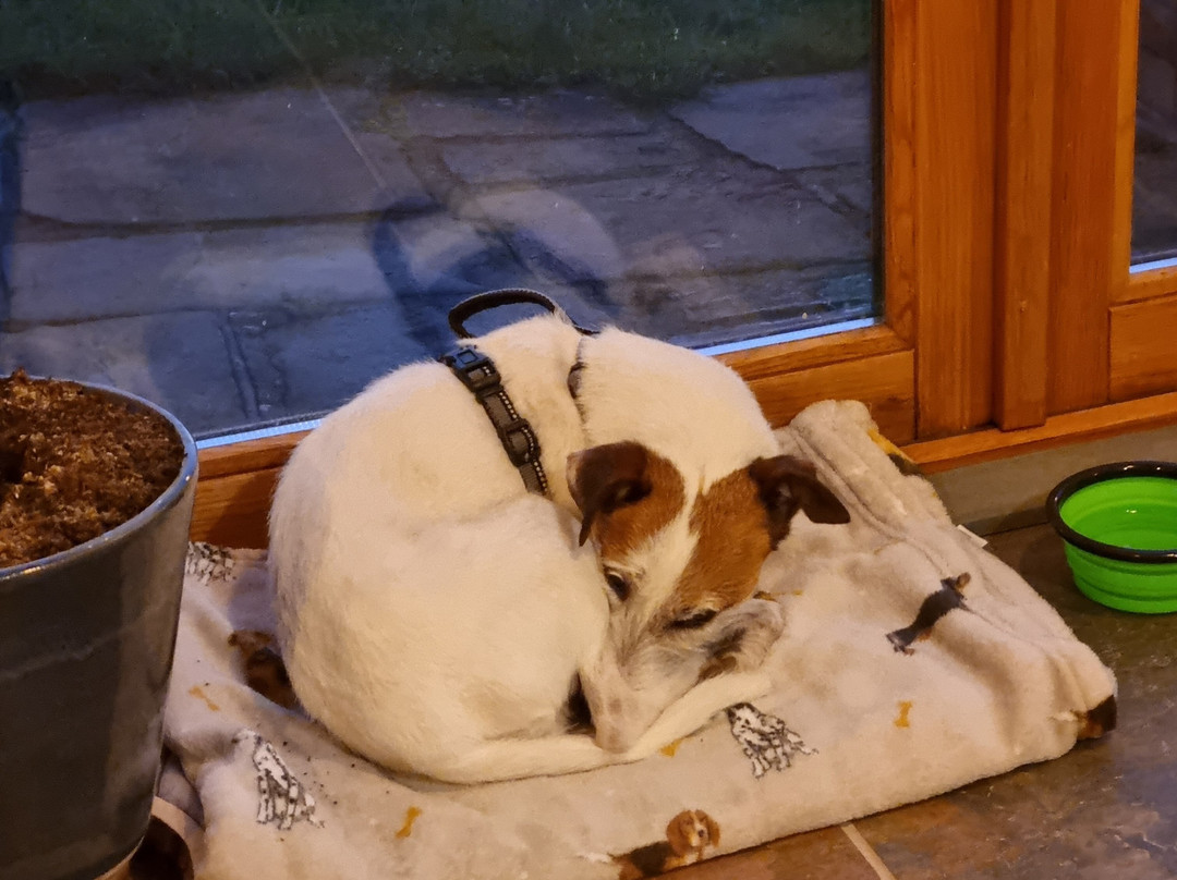 Hot Pot Pottery-English Bicknor必去景点