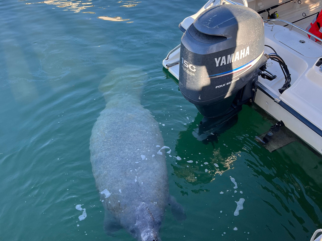 Cudjoe Key Boat Rentals-Cudjoe Key必去景点