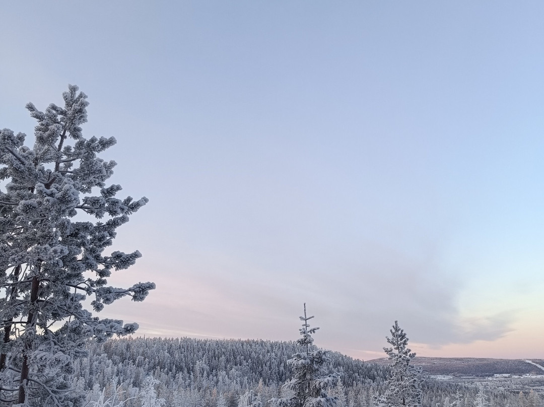 Aavasaksa Adventures-Ylitornio必去景点