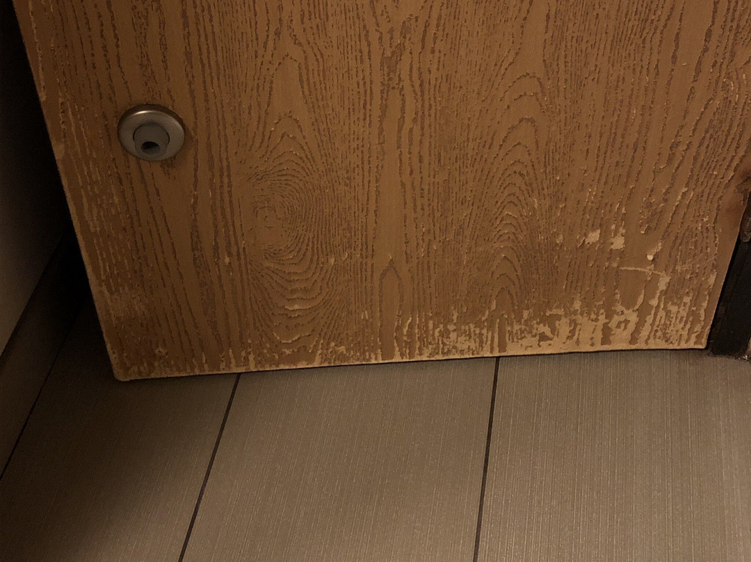 兰辛舒适旅馆主图