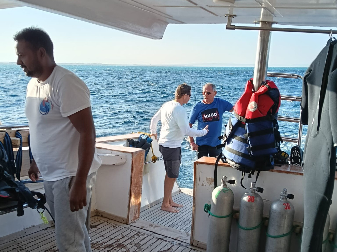 Red Sea Horse Diving-Hurghada 1必去景点